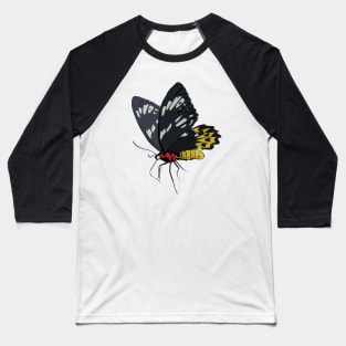 Animal Vignette : Butterfly Portrait Baseball T-Shirt